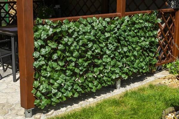 Garden King Hedera Flexi 1 x 2 m