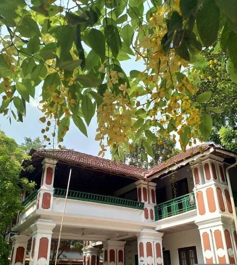 College of Fine Arts, Thrissur
