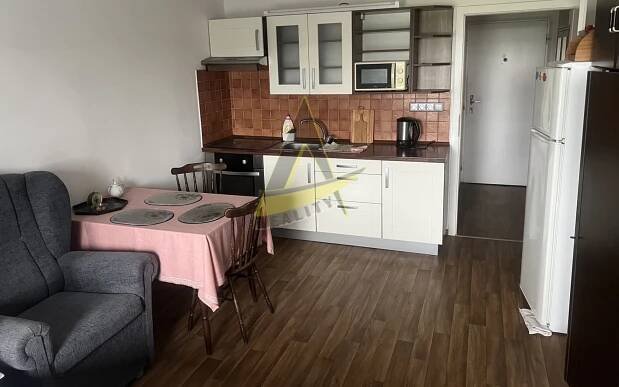 1+kk, Blatské sídliště, Veselí nad Lužnicí, 20 m²