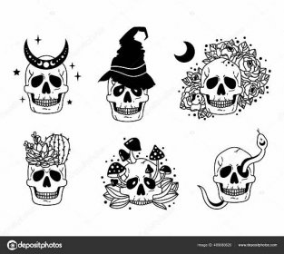Mystická lebka izolované kliparty, nebeské a květinové boho lebky sbírka, měsíc a květiny, houby, had a kaktus lidská lebka set, horor halloween černobílé vektorové ilustrace