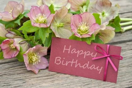 Stáhnout - Růžové květy s přání k narozeninám — Stock obrázek