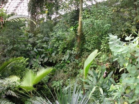 Botanická zahrada v Praze bude v zimě kříšťálová
