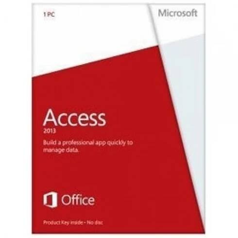 Microsoft Access 2013 CZ                    