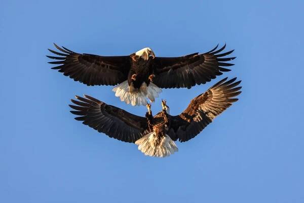 Photography — Mike Weinstein