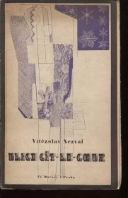 Ulice Gît - le - coeur (obálka Jindřich Štyrský) KNIHA NEN - Knihy