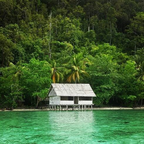 Gallery - Friendly Drifter - Raja Ampat Indonesia