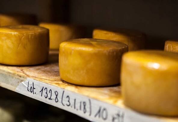 Formatges Reixagó – Formatges de llet crua de les nostres vaques, Formatges del Lluçanès