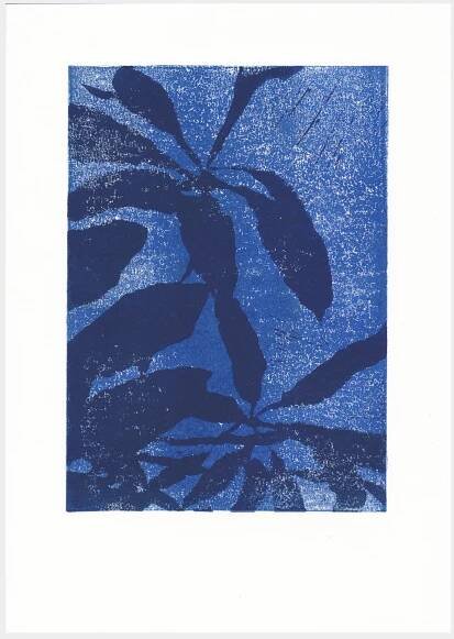 Schefflera Shadow Dark Blue/Dark Blue – Femke van Eijndthoven