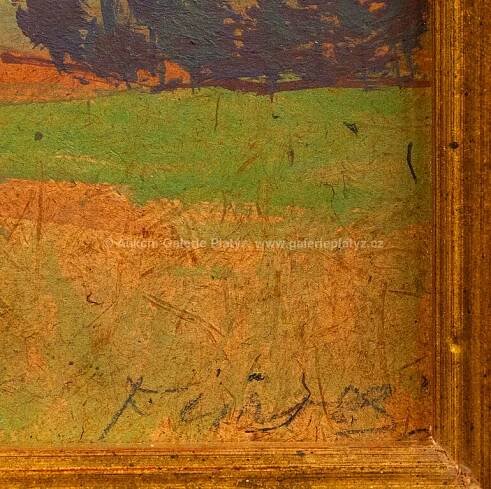 František Gross / Pohled do krajiny - detail aukce « Aukce « Aukční Galerie Platýz