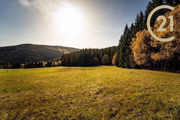 Prodej Pozemek, Pec pod Sněžkou, okres Trutnov