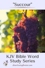 Succour: KJV Bible Word Study Series. Join me as I research many confusing or unfamiliar KJV words to broaden our understanding of scripture passages. #succour, #kjvbible, #wordstudy, #biblestudyforwomen