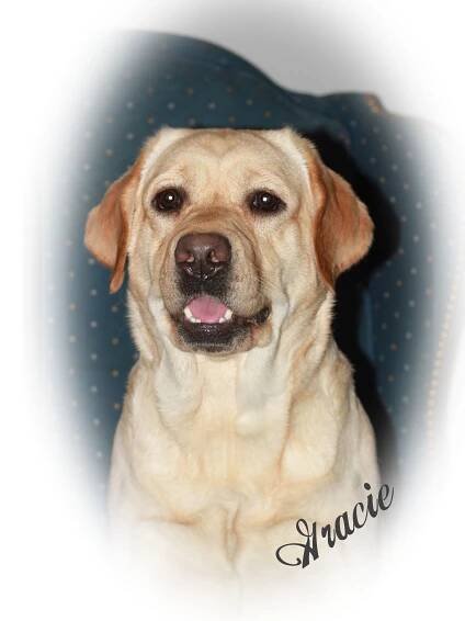 Gracie