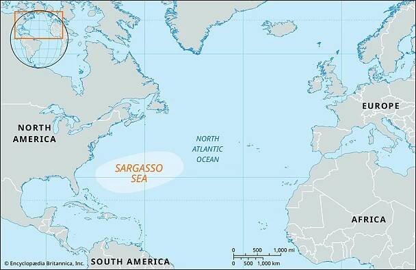 Sargasso Sea