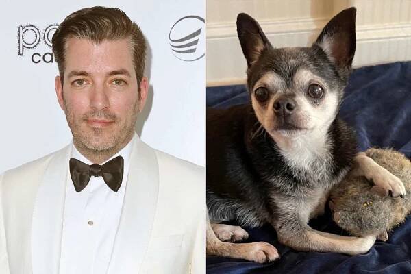 Jonathan Scott Left 'Heartbroken' Over the Death of His Dog Gracie: 'You're Always in My Heart'