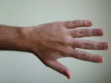 Free fotobanka : ruka, noha, prst, paže, nehet, zblízka, Lidské tělo ...