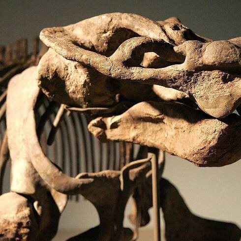 Archaeologists Uncovered a Painting That May Prove the Existence of a Mysterious Creature
