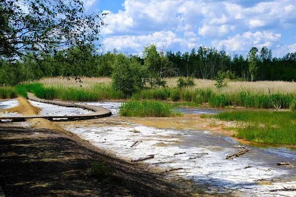 Bublají zde mofety a rostou masožravky, fotografové obdivovali český Yellowstone