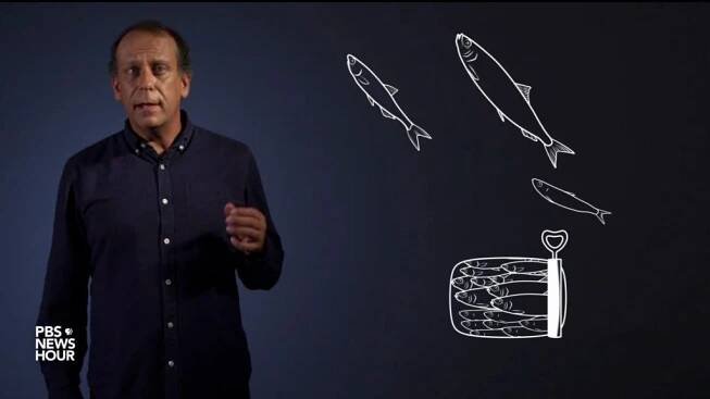 Author Paul Greenberg on why Americans should eat more fish