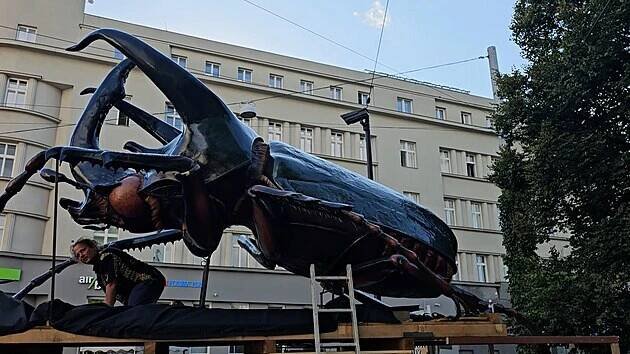 Brno „okupuje“ obří brouk, propracované modely umělci vytvářeli 15 tisíc hodin