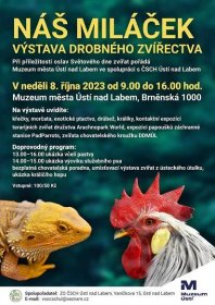 Náš miláček - výstava drobného zvířectva 2023 - Ústí nad Labem - AtlasCeska.cz
