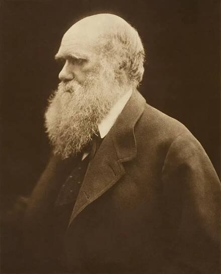 Darwinismus