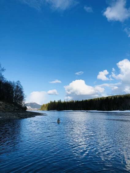 Winter swimming Indalsälven river Maria Wilhelmsson