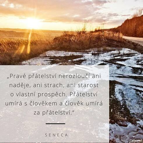 Seneca citát: „Pravé přátelství nerozloučí ani naděje, ani strach, ani starost o vlastní prospěch. Přátelství umírá s člověkem a člověk umírá za přátelství.“