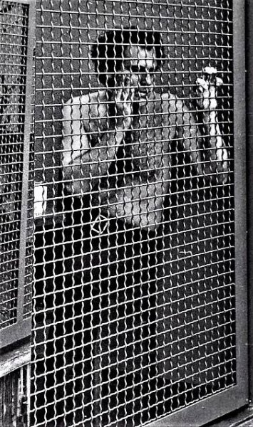 Alan Sonfist im Aachener Zoo 1977