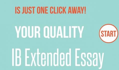 buy ib extended essay