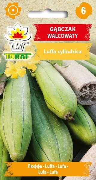 LUFA VÁLCOVITÁ/10 SEMEN/