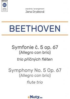 Beethoven: Symfonie č. 5 op 67 (Osudová) - trio příčných fléten od 299 Kč - Heureka.cz