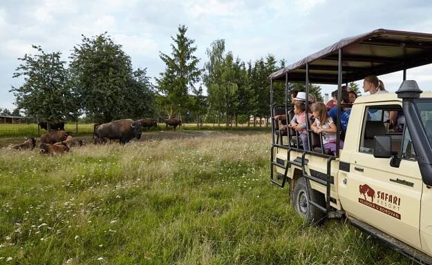 Offroad Safari | Safari Park
