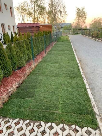Relizace trávníku – travní koberec – Zahrada4u.cz