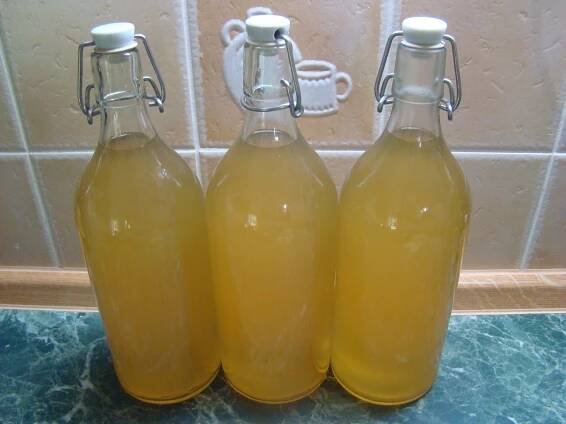 Apiastrum.cz: Limonády 