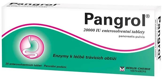 Pangrol 20000 20 tablet