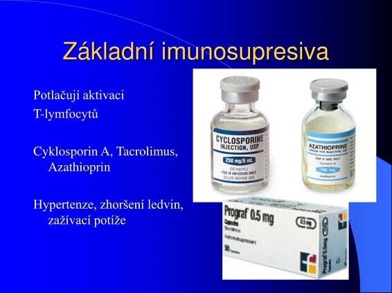 PPT - Transplantace PowerPoint Presentation, free download - ID:6079577