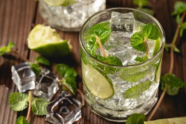 Domácí výrobníky ledu - mojito s ledem