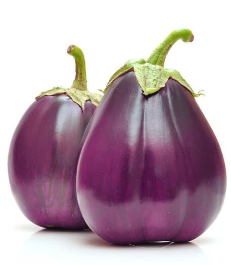 Mini-Aubergine