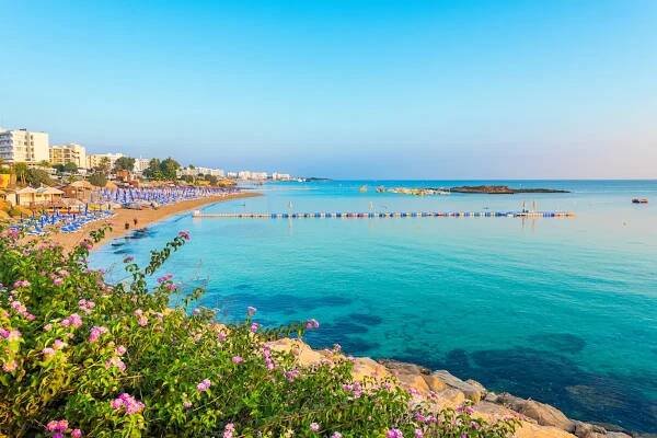 Blick auf die Fig Tree Bay auf Zypern. Der Himmel ist klar und das Wasser türkisblau. Am Strand sind einige Sonnenliegen und Schirme zu sehen. Im Vordergrund ein paar saftig grüne Pflanzen.
