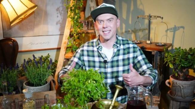 V domácí lékárně nesmí chybět ani koriandr