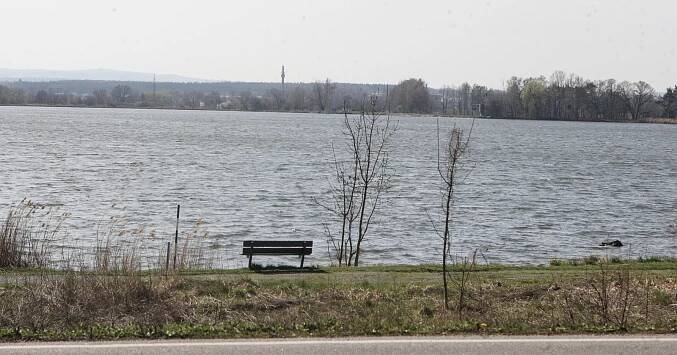 Vloni museli nechat utratit 90 tun ryb. Nyní chystají rybník na novou sezonu