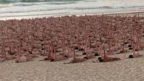 Tisíce lidí se na australské pláži svlékly donaha - Novinky
