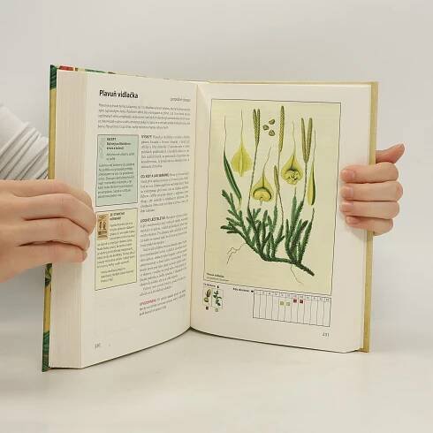 Herbář, aneb, Od anděliky k žindavě - Jaroslava Bednářová - knihobot.cz