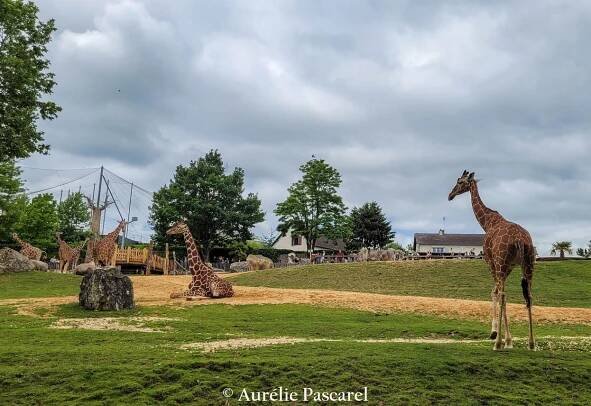 Zoo Parc de Beauval - voyager en famille, avec des enfants, en couple, entre amis, en France et en Europe