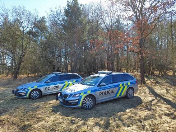 Lidskou kostru našli v lese na Přešticku, policie pak prohledávala okolí