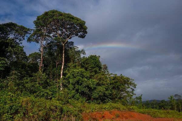 Francouzská Guyana – mezi monzunem, džunglí a (ztracenou) historií