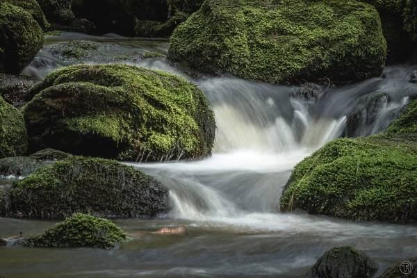 Fotogalerie • Kaskády na Filipohuťském potoce (Vodopád) • Mapy.com
