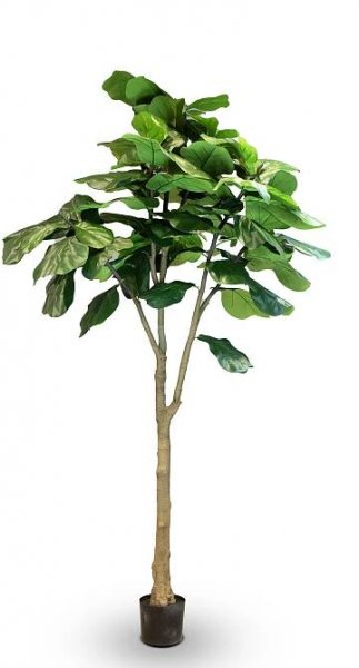 Geigenfeige - Ficus lyrata Kunstpflanze, UV Stabil, Höhe 240 cm 