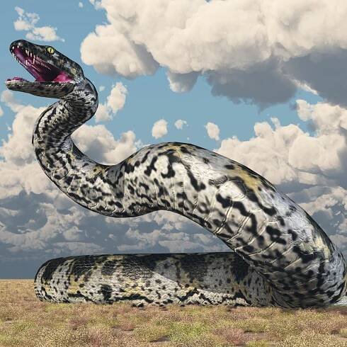 What Is the Largest Snake That Ever Existed?