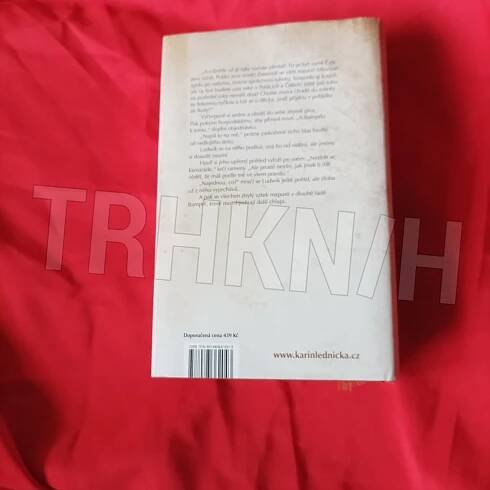 Kniha Šikmý kostel - 2. - léta 1921–1945 - románová kronika ztraceného města - Trh knih - online antikvariát